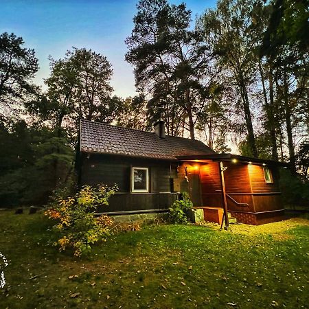 Ranczo Wilkowyja Villa Wilkowyja  Kültér fotó