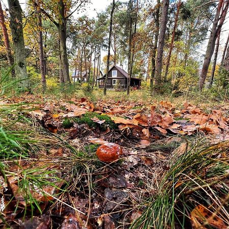 Ranczo Wilkowyja Villa Wilkowyja  Kültér fotó