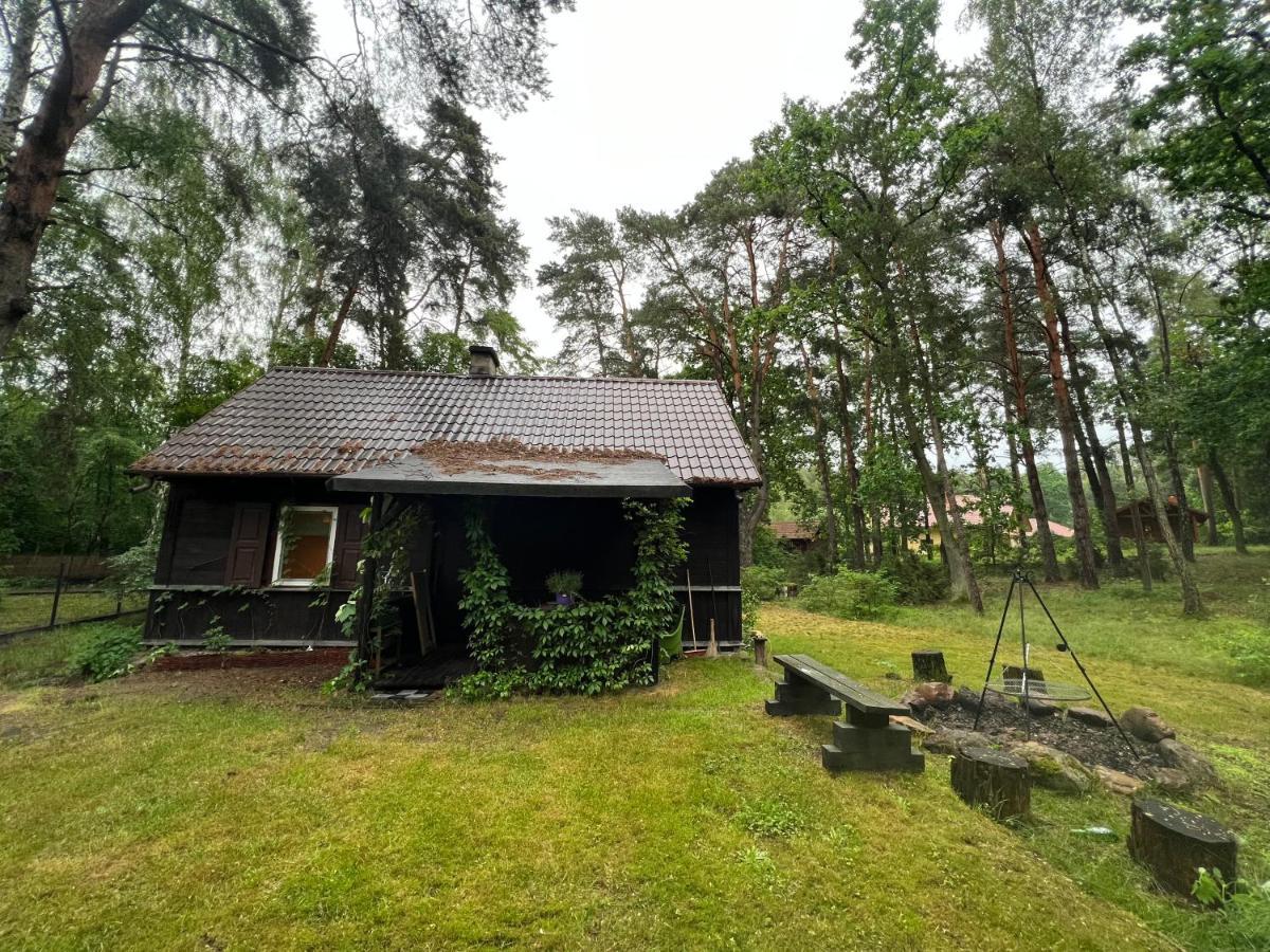 Ranczo Wilkowyja Villa Wilkowyja  Kültér fotó